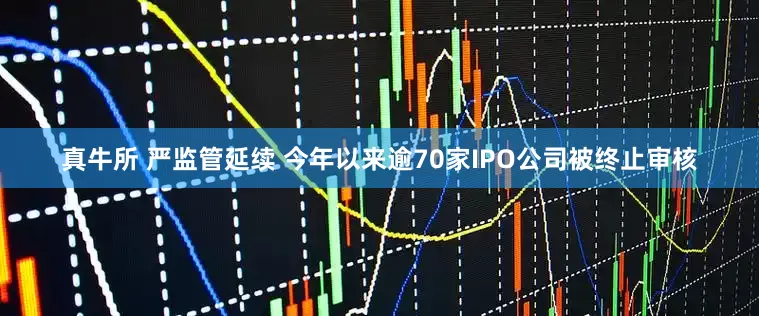 真牛所 严监管延续 今年以来逾70家IPO公司被终止审核