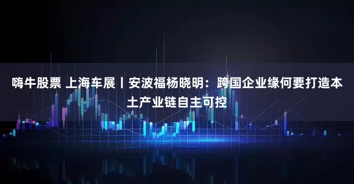 嗨牛股票 上海车展丨安波福杨晓明:跨国企业缘何要打造本土产业链自主可控