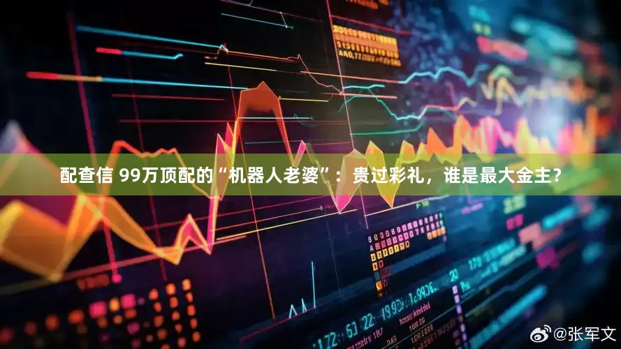 配查信 99万顶配的“机器人老婆”：贵过彩礼，谁是最大金主？